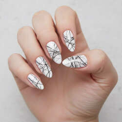 Ailika Spider Gel Black 5 G - AİLİKA (1)