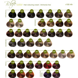 B.Life Amonyaksız Saç Boyası 100 Ml - FARMAVITA (1)