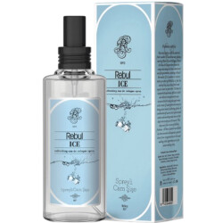 Rebul Kolonya Ice Cam Şişe 100 ML - REBUL