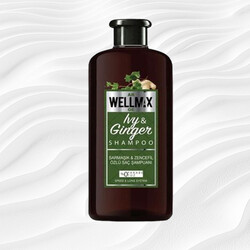Wellmax Sarmaşık Özlü Şampuan 500 ml - WELLMAX
